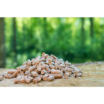 FirelandHolzpellets_1.jpg